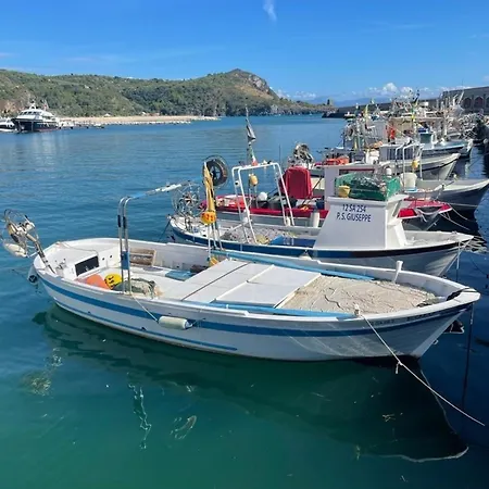 Lavigna