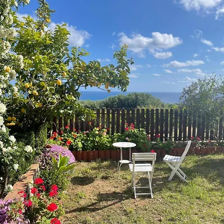 Lavigna